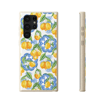 Squeeze the Day Eco-Friendly Phone Case | Biodegradable Cases | Sustainable